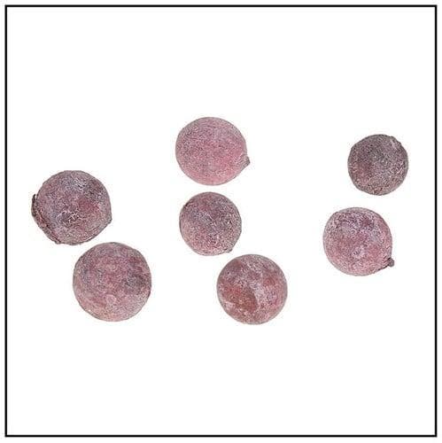 Pal Fruit Terra cotta 200 gram, Hobby en Vrije tijd, Knutselen, Nieuw