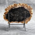 Magnifique tranche de bois pétrifié sur un socle