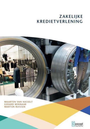 Zakelijke kredietverlening 9789491743115 Maarten van Hasselt, Boeken, Verzenden, Gelezen, Maarten van Hasselt