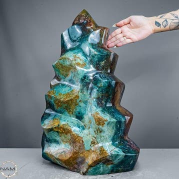 Monumentale 39 kg oceaanagaatvlam – spectaculair XXL-uniek