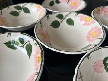 Villeroy & Boch - Bol (6) - wild-Rose - Porcelaine