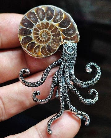Geen reserveprijs Prachtige ammoniet hanger/broche