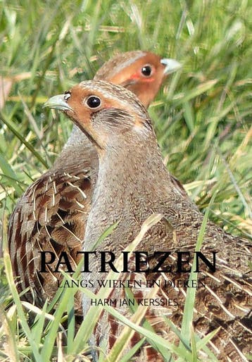 Patriezen | Harm Jan Kerssies | Nieuw, Verzenden, Nieuw, Harm Jan Kerssies