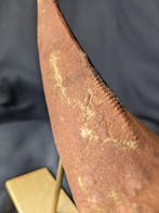 Museumkwaliteit replica - Fossiele tand - Tyrannosaurus rex