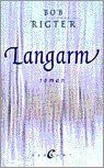 LANGARM 9789056890650 B. Rigter, Boeken, Verzenden, Gelezen, B. Rigter