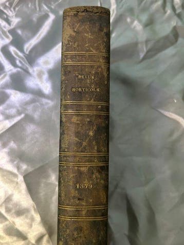 Le bon jardinier - Revue horticole journal d’horticulture
