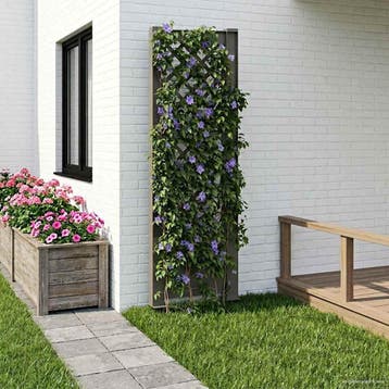 vidaXL Trellis met Spike PP Grijs, Doe-het-zelf en Bouw, Containers, Verzenden