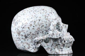 Lotus Jasper Skull “Haute Qualité” Crâne sculpté - Jasper -, Antiek en Kunst