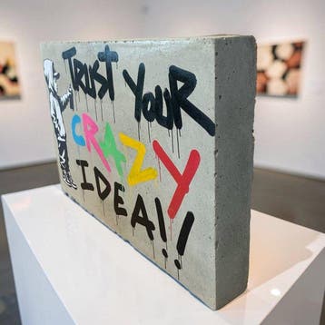 STRINK - CRAZY IDEA, Antiek en Kunst