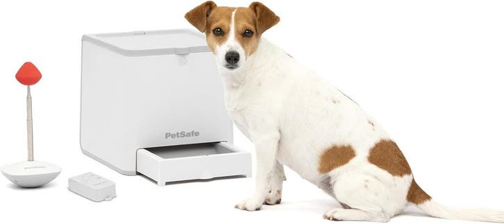 PetSafe snackdispenser | 35% korting, retour deal!, Animaux & Accessoires, Accessoires pour chiens, Envoi