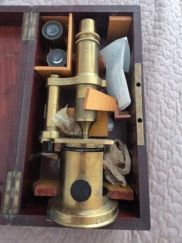 Simple microscope - 1850-1900 - Nachet et Fils