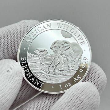 Somalië. 100 Shilling 2026 – African Wildlife Series –