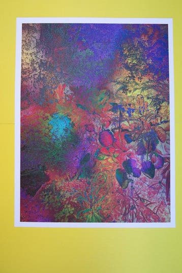 Viet Ha Tran - Shades of Dreams XIV