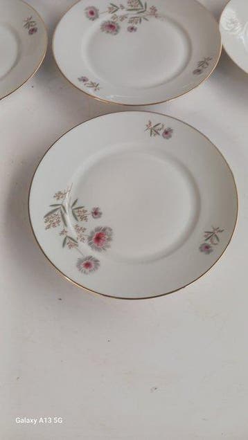 Richard Ginori - Assiette (10) - Porcelaine