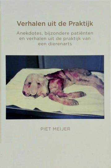 Verhalen uit de praktijk 9789403662268 Piet Meijer, Verzenden, Gelezen, Piet Meijer