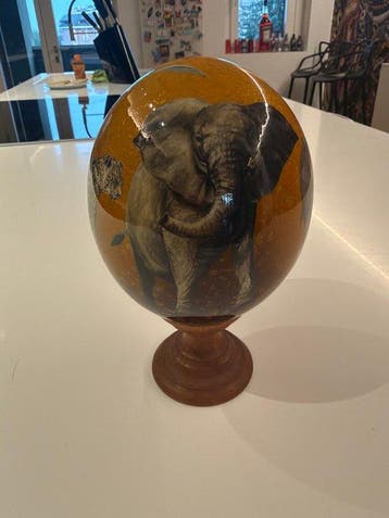 Struisvogel Ei - Sconosciuto - 17 cm - 14 cm - 14 cm - (2), Antiek en Kunst