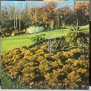 Hipshakes - Maximum Growth And Vigour, Verzenden