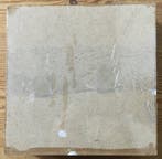 Lucanes, scarabées rhinocéros, cérambycidés (etc) Support de, Antiquités & Art, Curiosités & Brocante