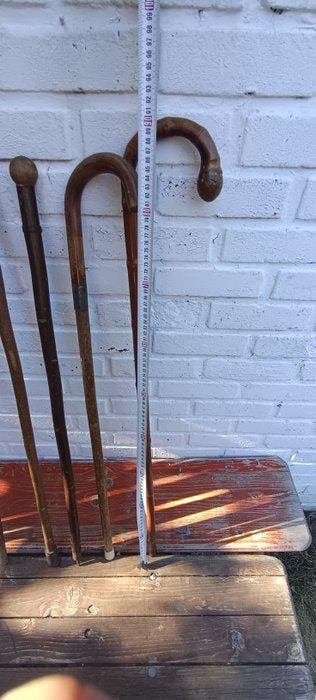 Staf (11) - Hout - Lot van 11 Cannes