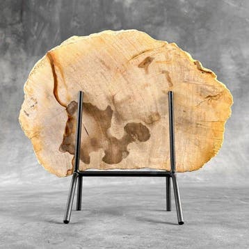 Prachtige snede van versteend hout op een op maat gemaakte