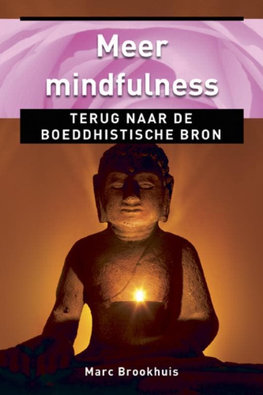 Meer mindfulness / Ankertjes / 342 9789020204681, Livres, Psychologie, Envoi