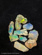 55,36 ct - 10x natuurlijke edele ruwe Ethiopische opalen,, Collections