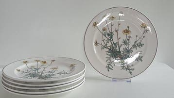 Villeroy & Boch - Assiette à dîner (6) - Botanica -