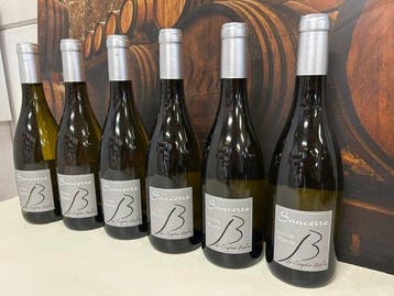 2023 Sophie Bertin - Cote Blanche - Sancerre - 6 Flessen
