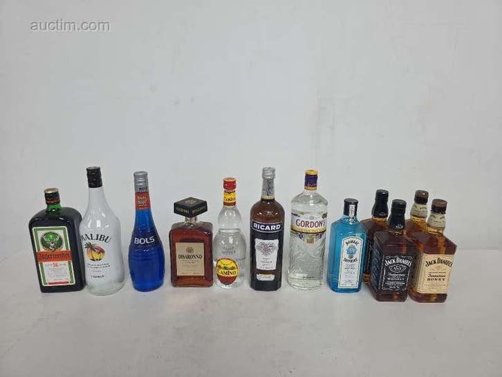 Jack Daniels, Bols, Bombay, Gordons diverse 70,.., Articles professionnels, Horeca | Food, Enlèvement