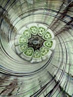 Presse-papiers - Verre