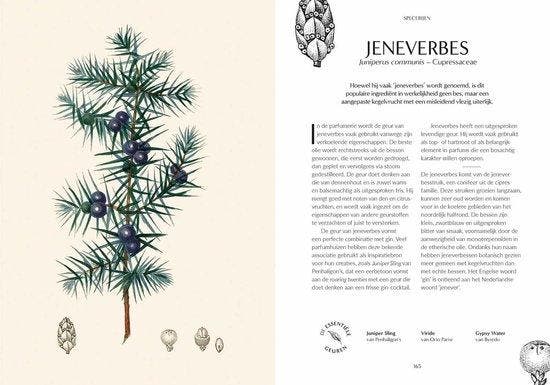 Parfum / Kew Royal Botanic Gardens 9789464991888 Josh Carter, Boeken, Kookboeken, Zo goed als nieuw, Verzenden