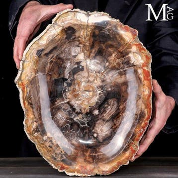 Handgemaakt versteend hout opbergbak - Een tijdloze fusie