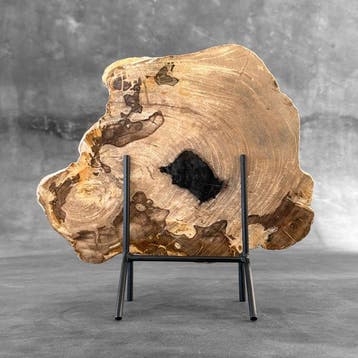Superbe tranche de bois pétrifié sur un socle sur mesure -