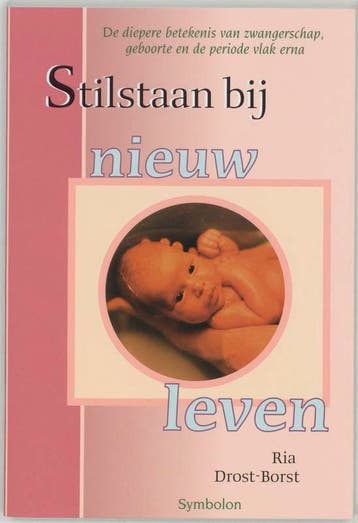 Stilstaan bij nieuw leven 9789074899871 R. Drost-Borst, Verzenden, Gelezen, R. Drost-Borst