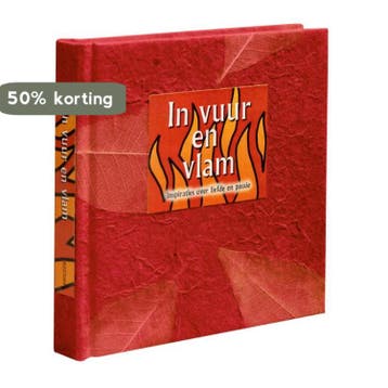 In Vuur En Vlam 9789045309422 Eefje Mikkers, Verzenden, Zo goed als nieuw, Eefje Mikkers