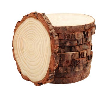 Houten boomschijf met schors (14-16 cm diameter, 1,5 cm dik, Verzenden