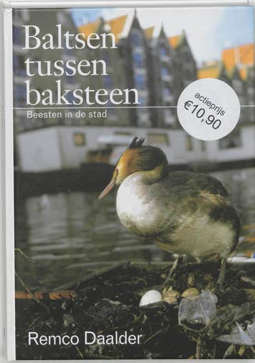 Baltsen tussen baksteen 9789059370425 Remmelt Daalder, Verzenden, Remmelt Daalder