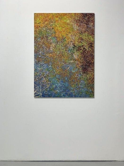 Bernhard Lang - The_Bog_Plants_002, Antiquités & Art, Art | Objets design