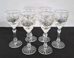 Wijnglas (6) - ook voor de likeur en/of aperitief -