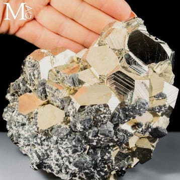 Cristaux de pyrite extraordinaires présentant des formes, Collections