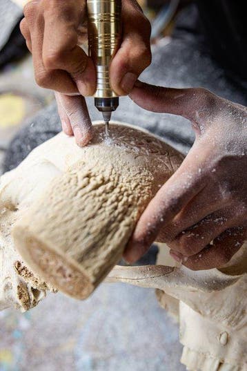GEEN MINIMUMPRIJS - Gehouwen zwarte koeienschedel met, Antiek en Kunst