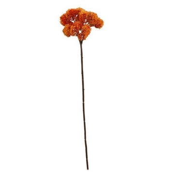 Wilde Bessen Oranje Zijdenbloem 46 cm per stuk