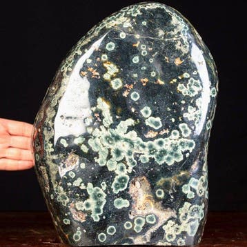 Green Orbicular Jasper - Groot oceaangroene jaspis in vrije