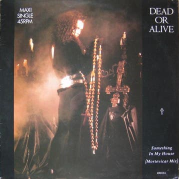 Dead Or Alive - Something In My House (Mortevicar Mix), Verzenden, Gebruikt