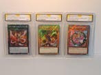Konami - 3 Card - Yu-Gi-Oh! - Dark Magician, Dark Magician