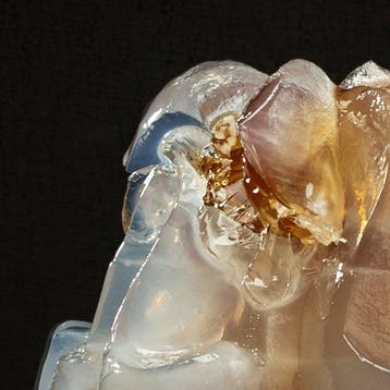 Ursula van de Bunte - Coke-Jelly