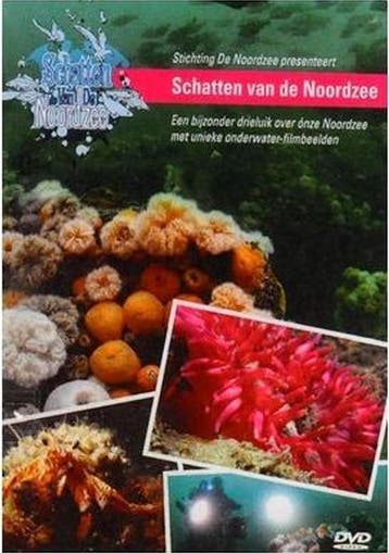 Schatten van de Noordzee, Cd's en Dvd's, Verzenden, Nieuw in verpakking