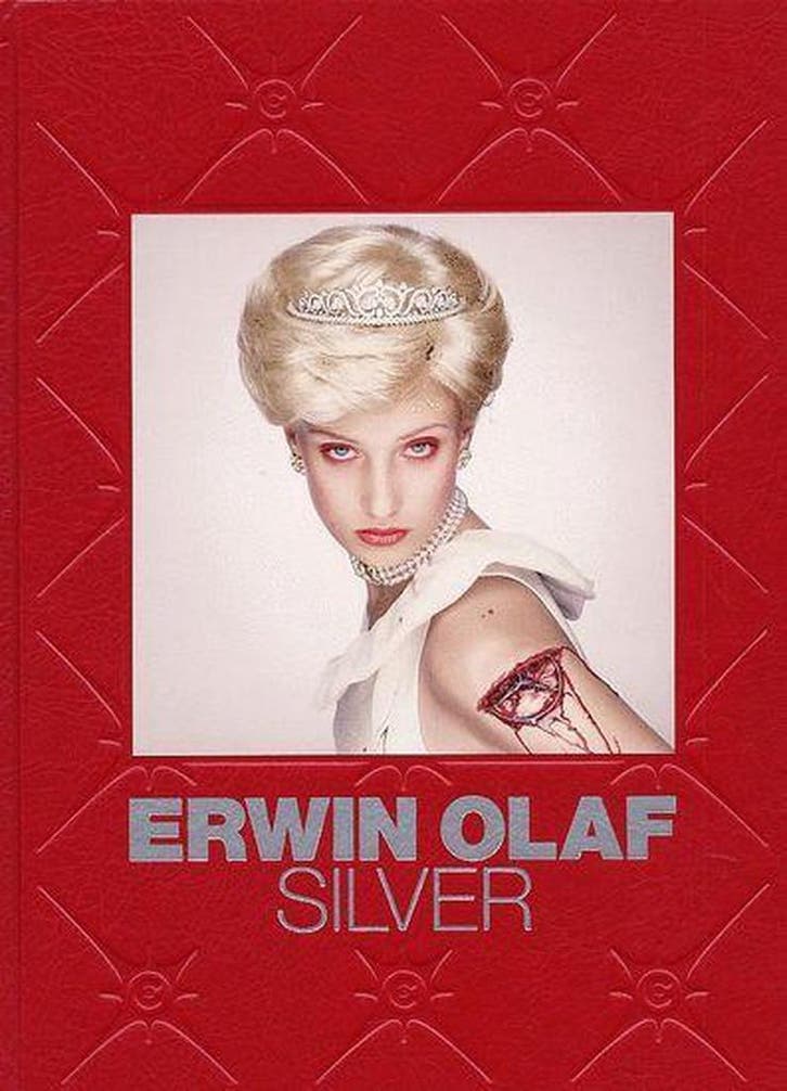 Silver 9789076588636, Boeken, Kunst en Cultuur | Beeldend, Gelezen, Verzenden