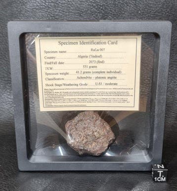 XL angrite meteoriet - Het oudste plutonische gesteente in, Verzamelen, Mineralen en Fossielen