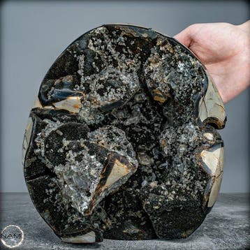 Natuurlijke septarische druse met calcietkristallen - Van de